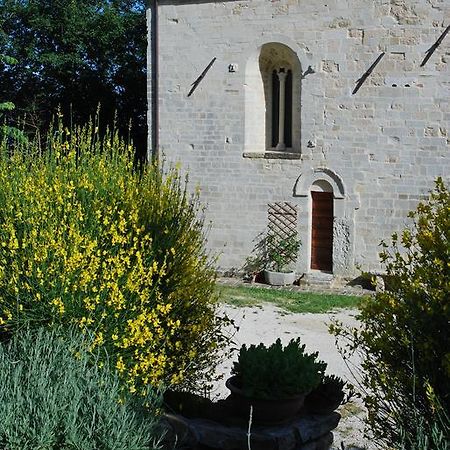 B&B San Paterniano Чинголи Экстерьер фото