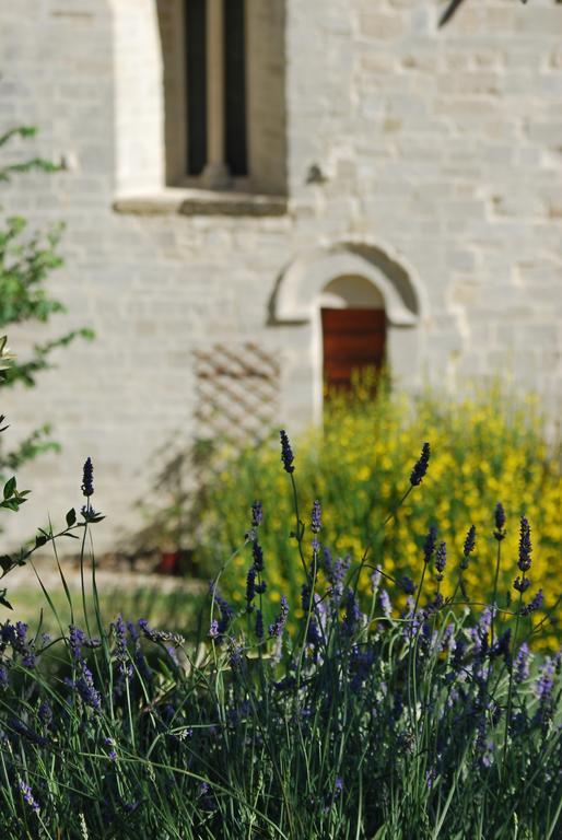 B&B San Paterniano Чинголи Экстерьер фото